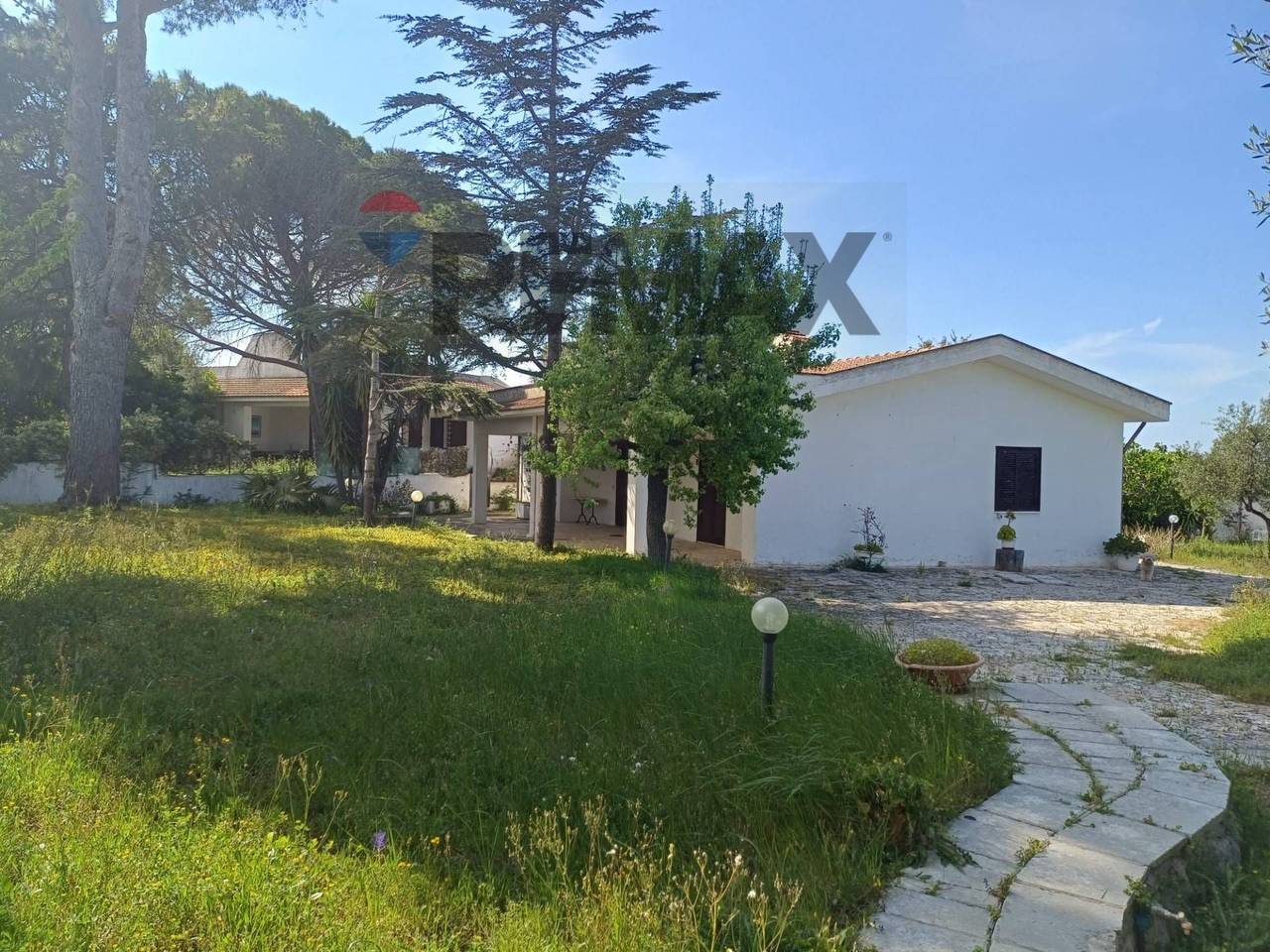immagine annuncio 4 di 14