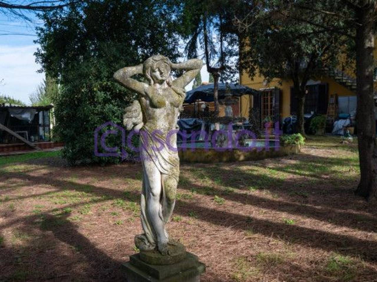 immagine annuncio 7 di 15