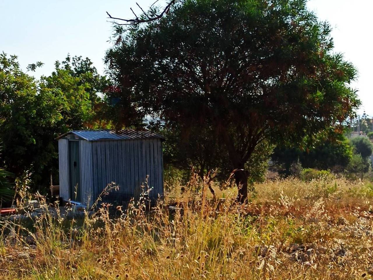 immagine annuncio 5 di 12