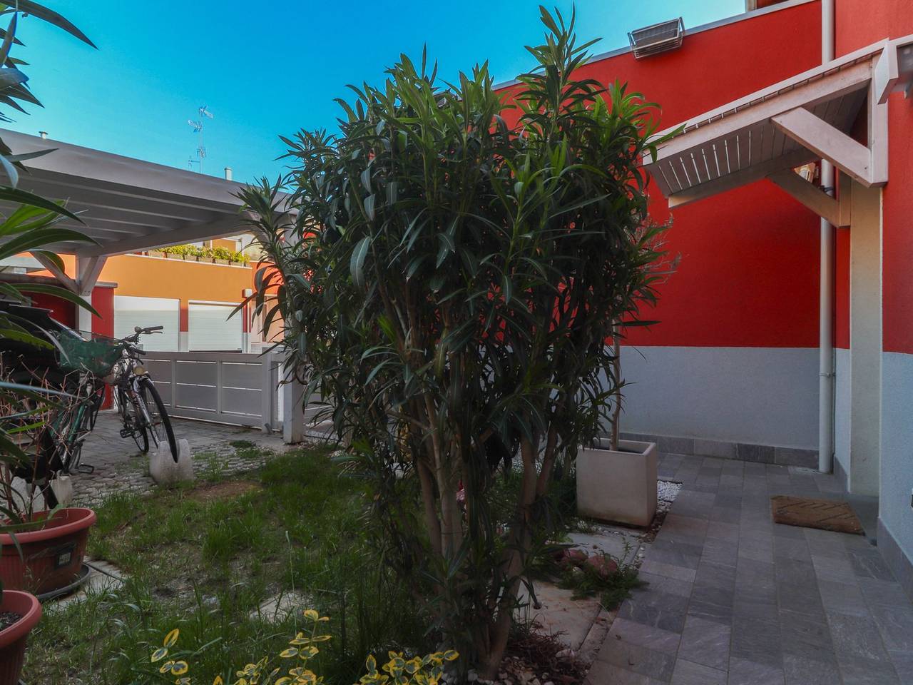 immagine annuncio 8 di 15