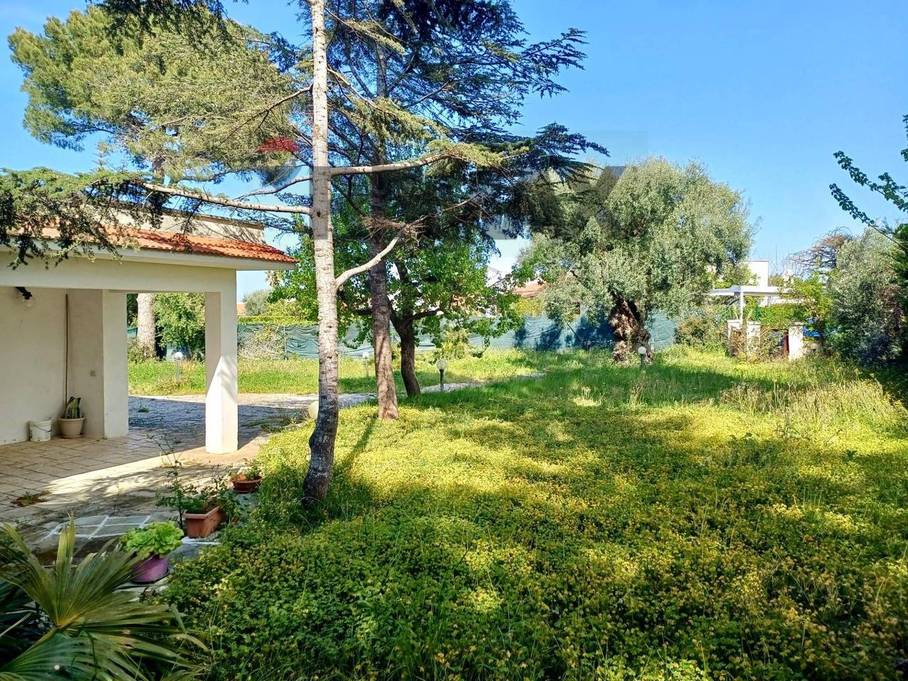 immagine annuncio 9 di 14