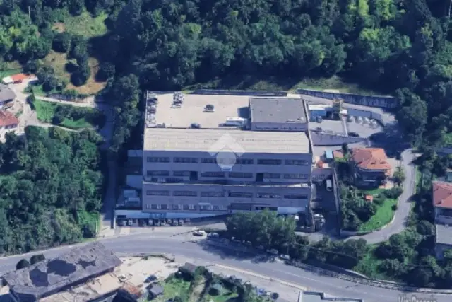 insertion image