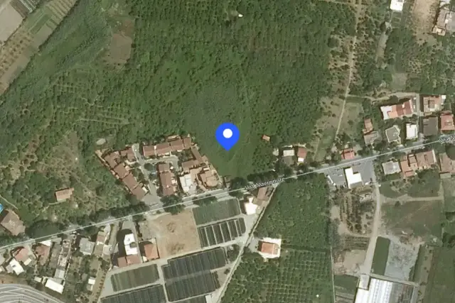 insertion image