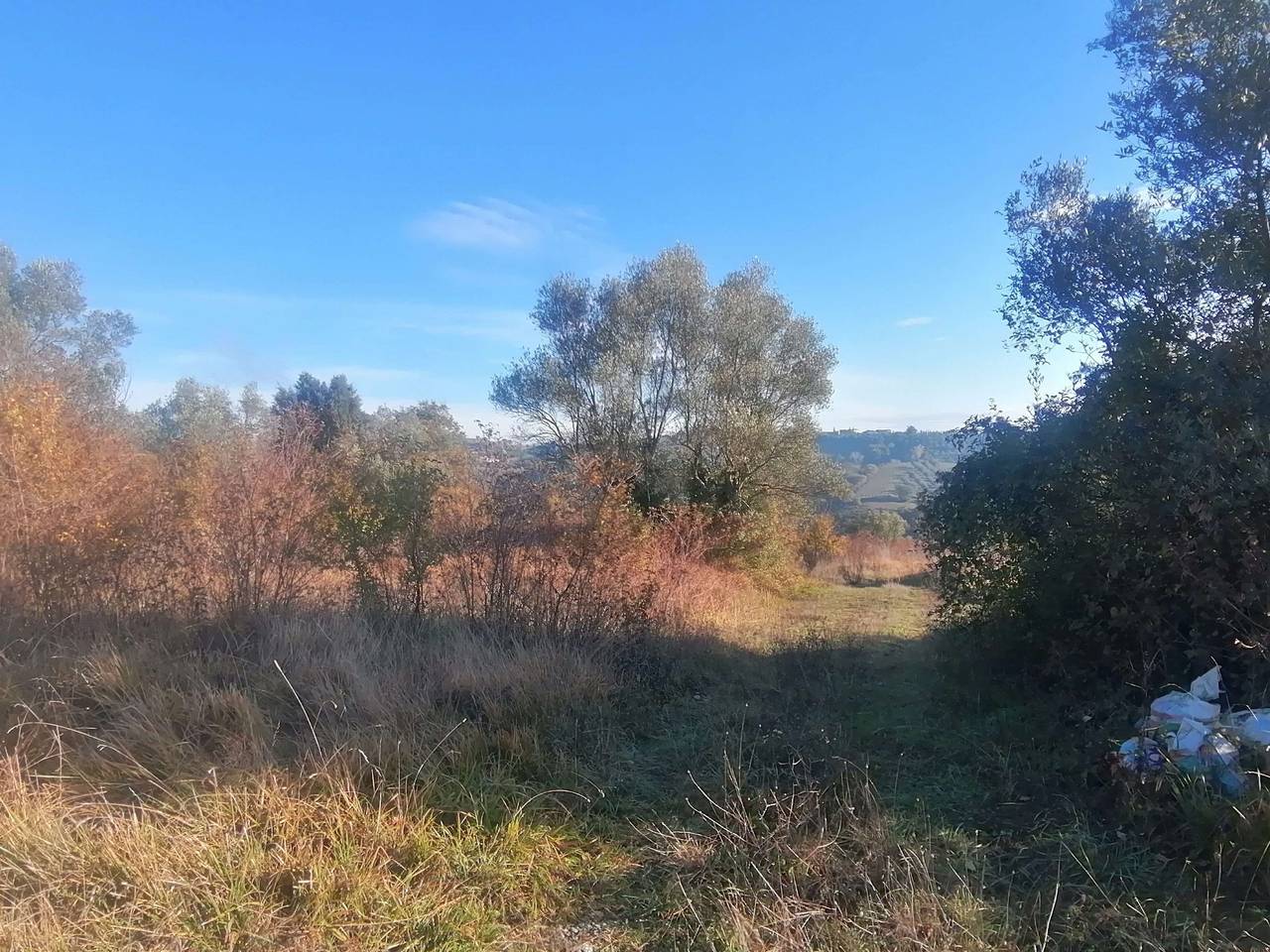 immagine annuncio 5 di 8