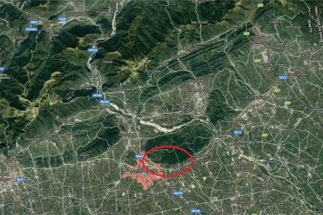 insertion image