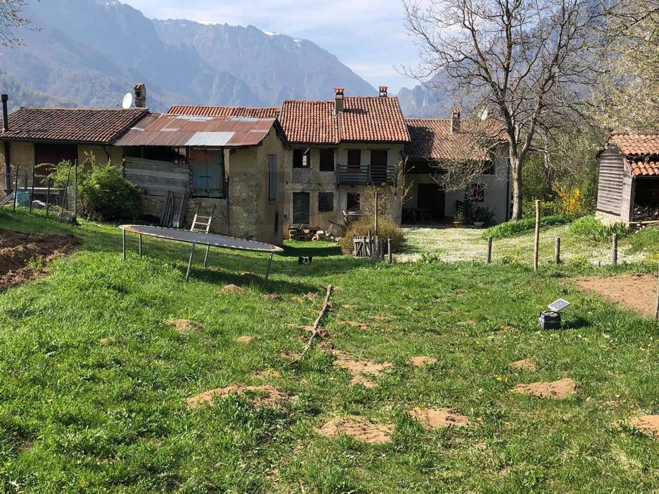 immagine annuncio 3 di 12