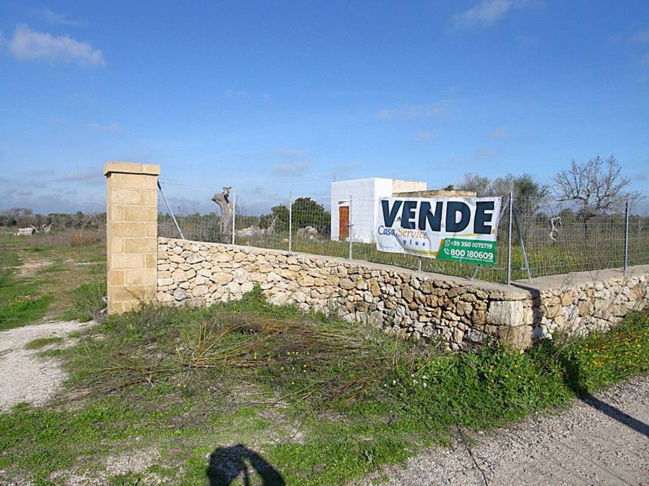 immagine annuncio 14 di 15