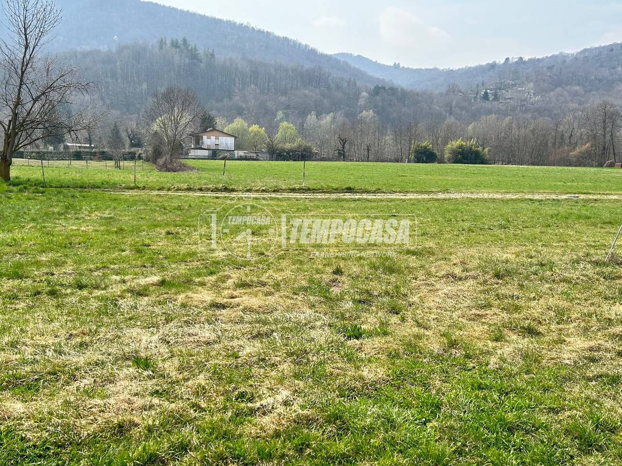 immagine annuncio 7 di 11