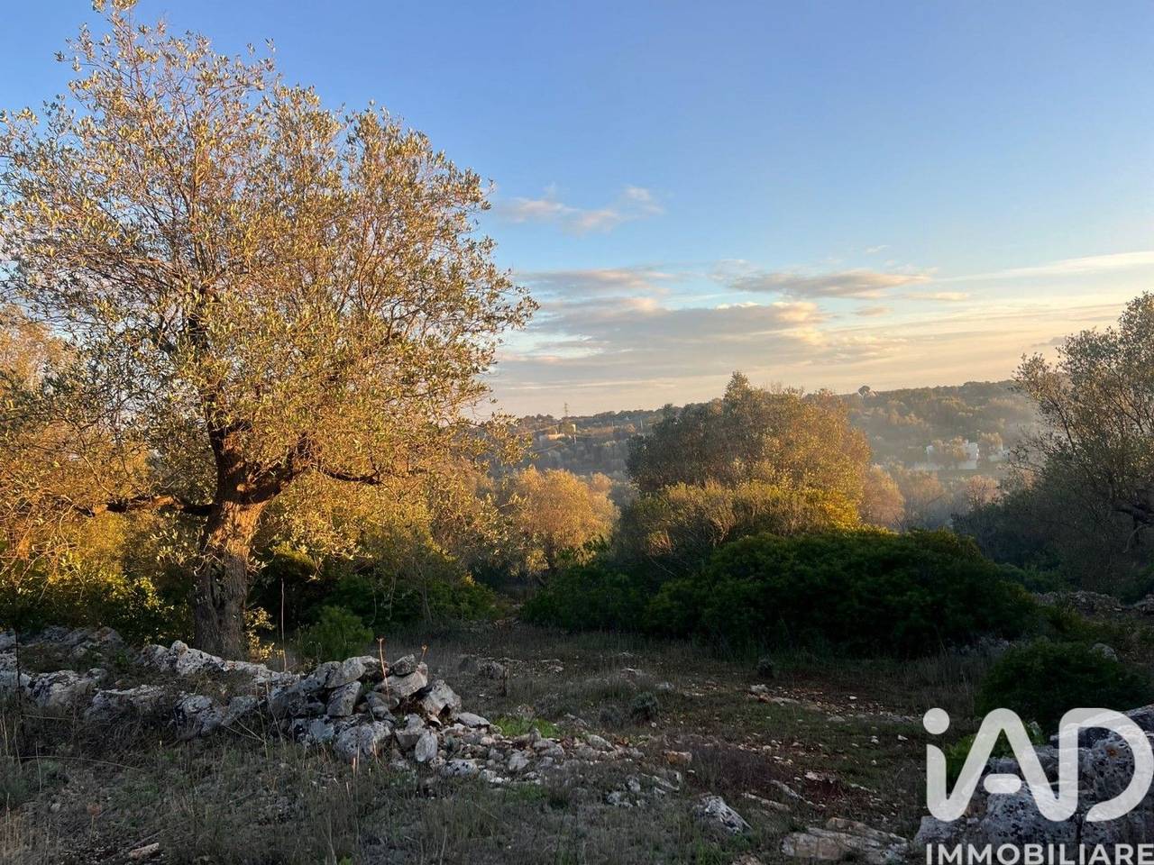 immagine annuncio 7 di 11