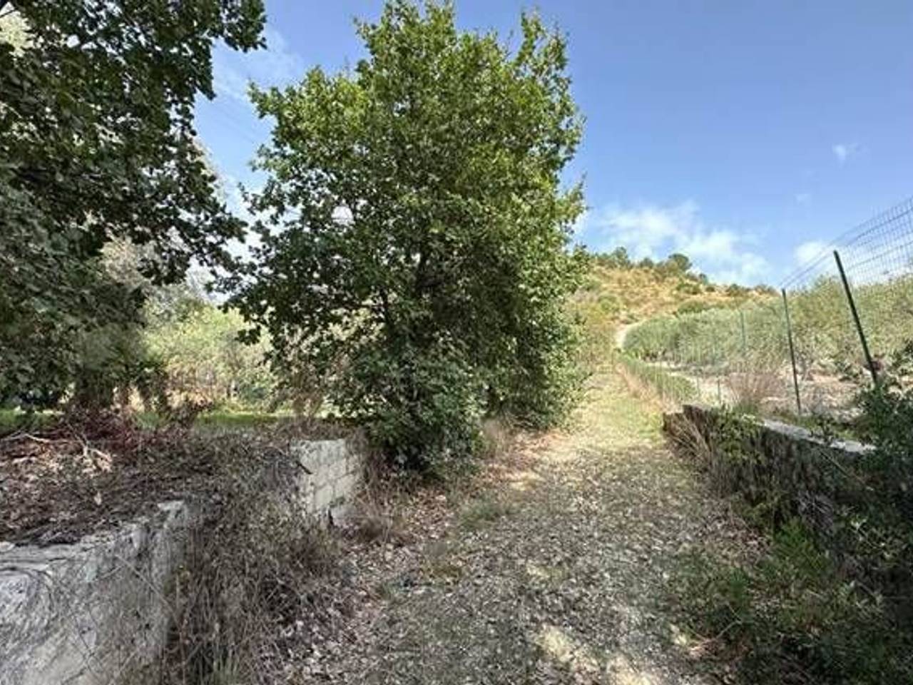 immagine annuncio 5 di 11