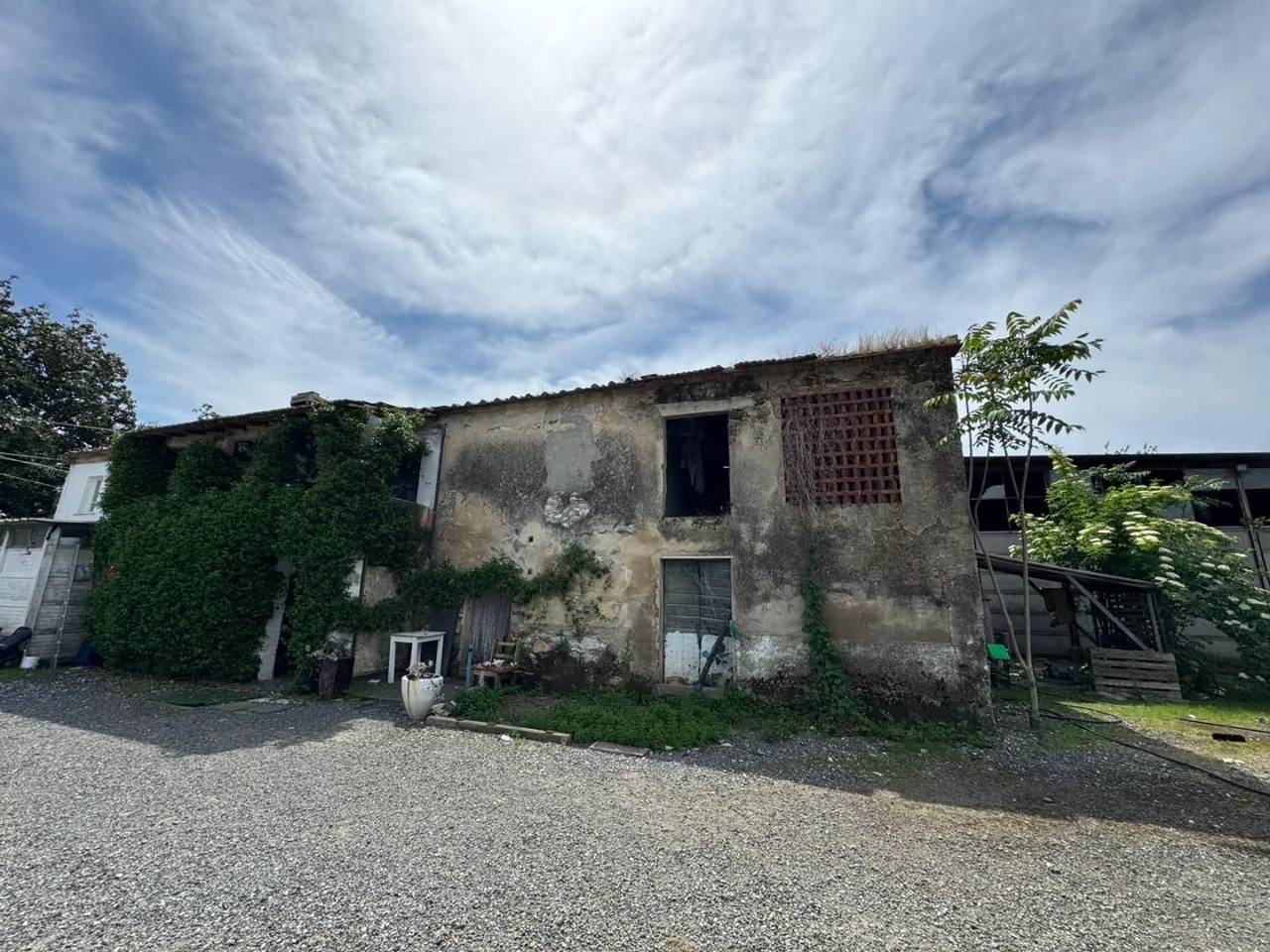 immagine annuncio 3 di 14