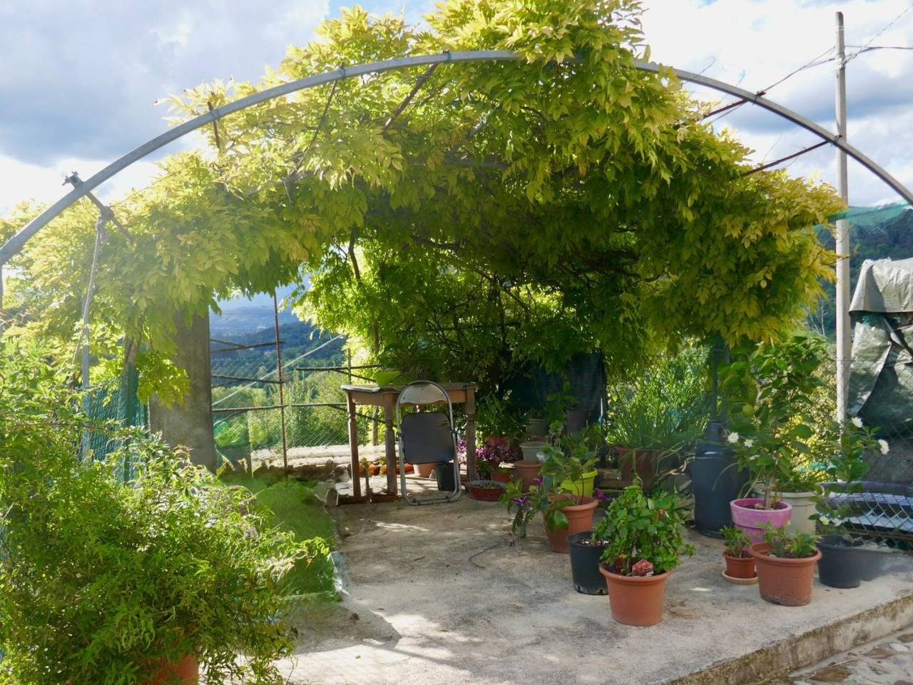 immagine annuncio 14 di 15