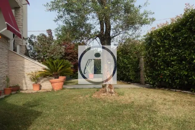 insertion image