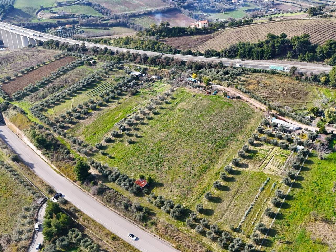 immagine annuncio 2 di 4