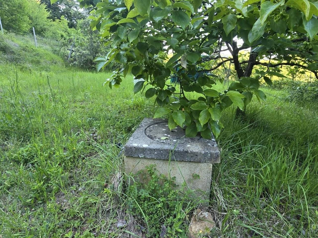 immagine annuncio 5 di 13