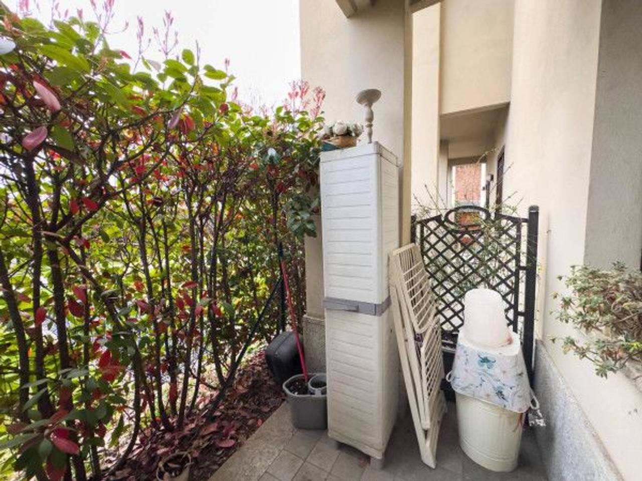 immagine annuncio 11 di 14