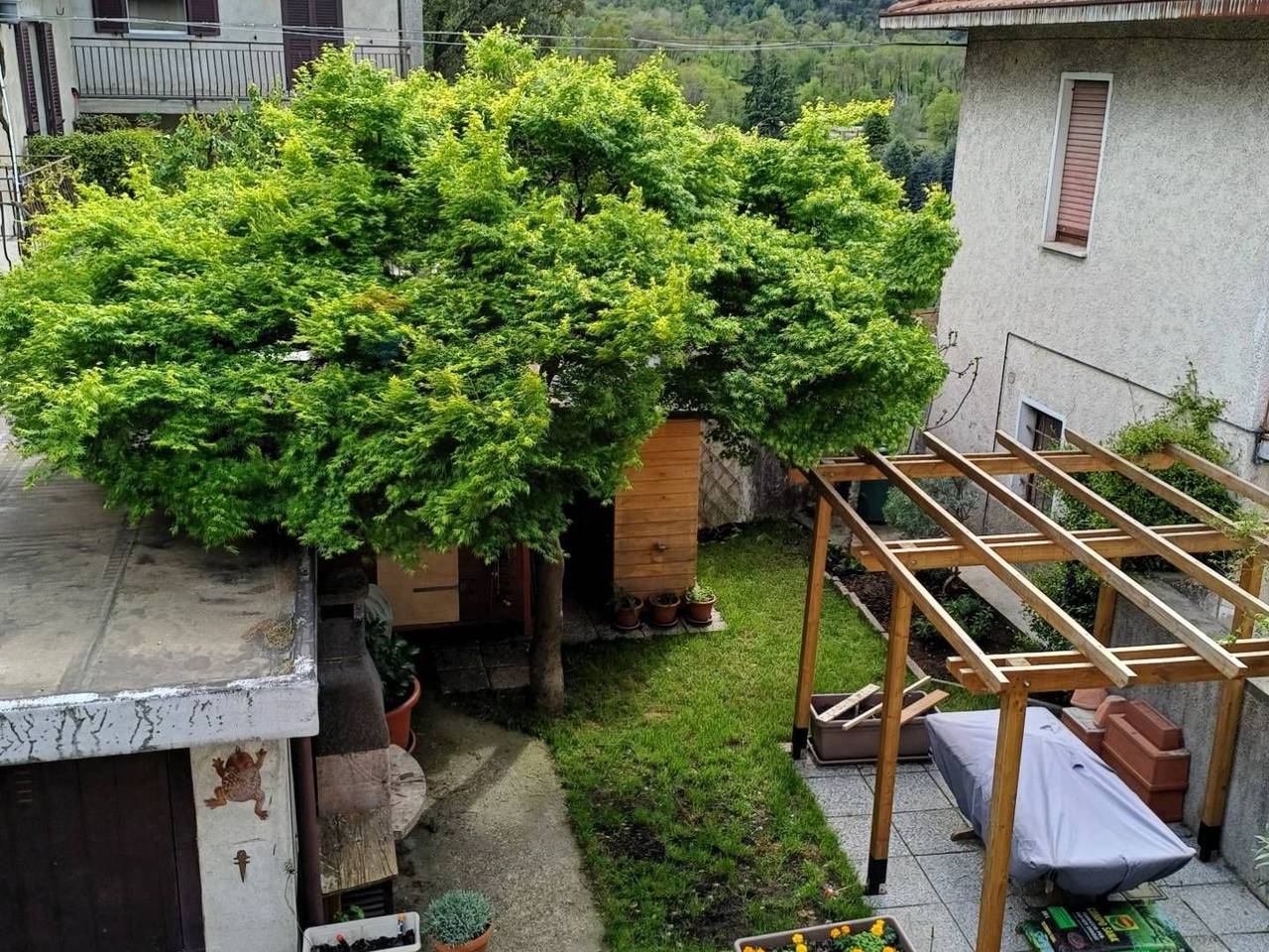 immagine annuncio 13 di 15