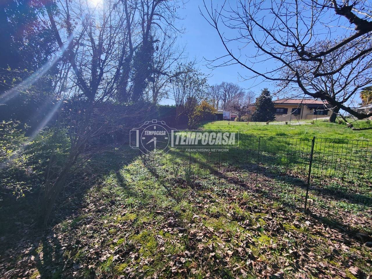 immagine annuncio 8 di 12