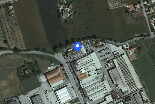 insertion image