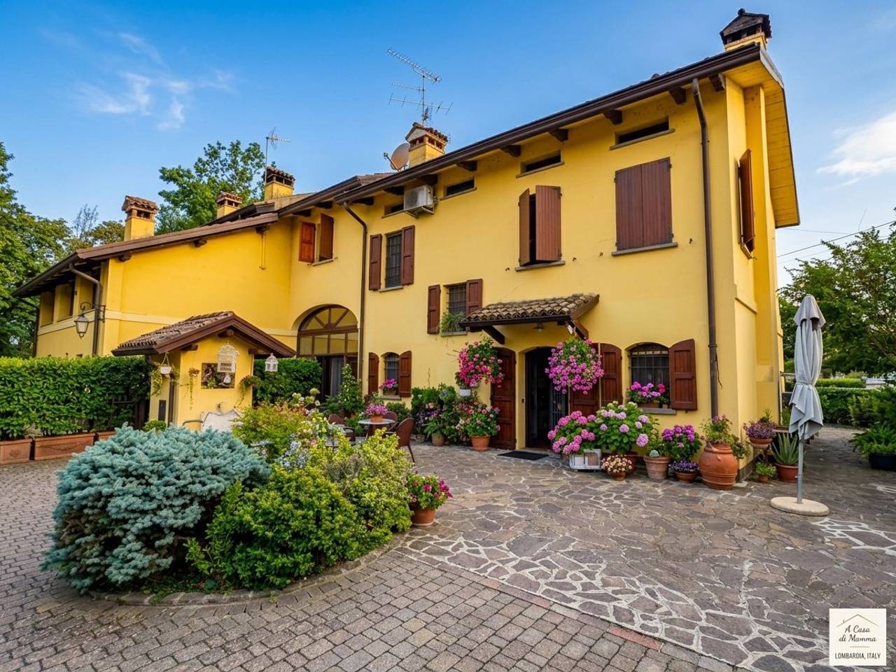 immagine annuncio 1 di 15