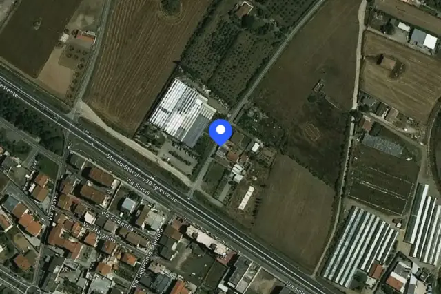 insertion image