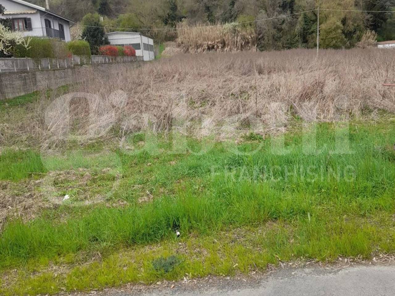 immagine annuncio 4 di 8