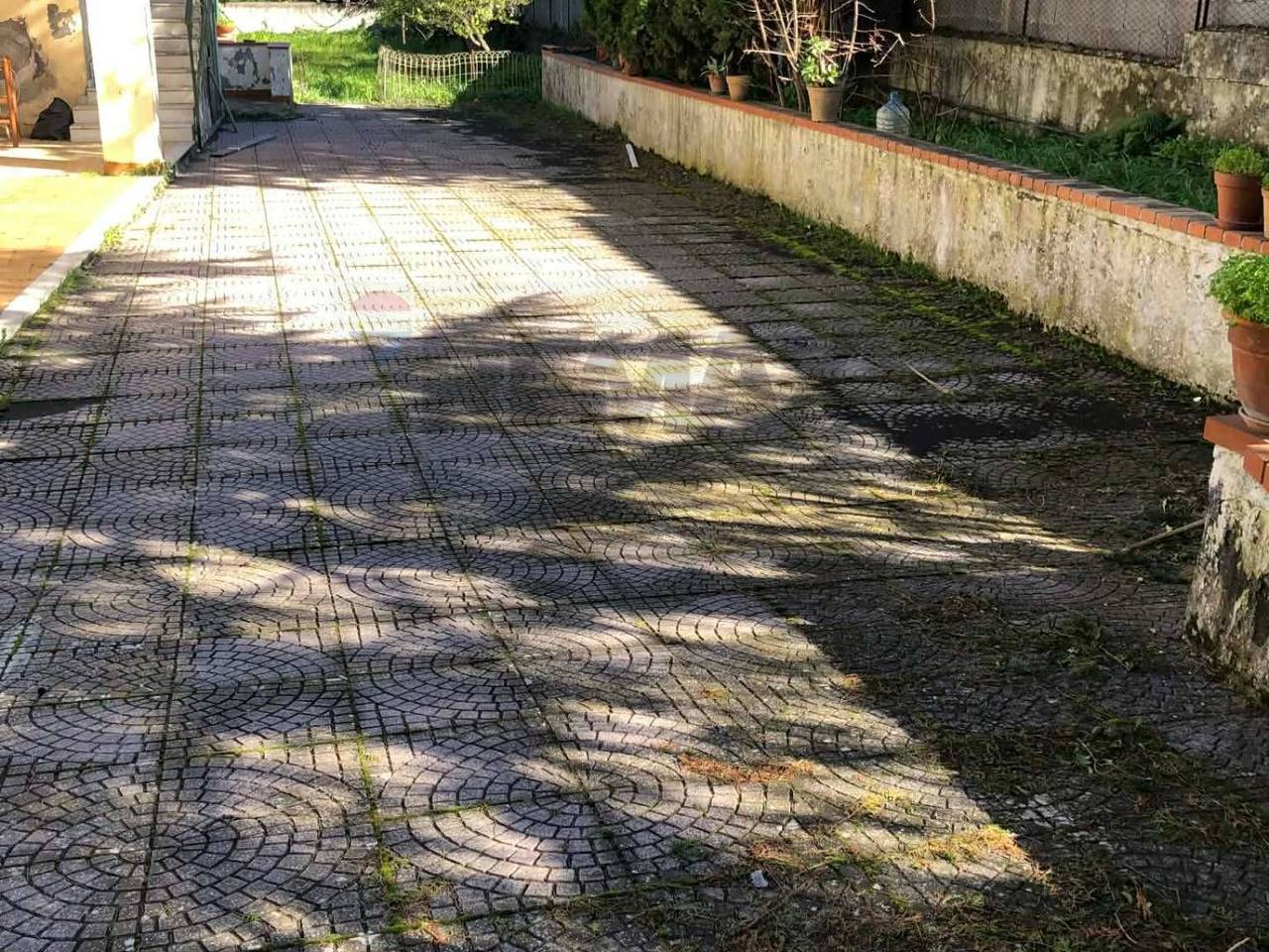 immagine annuncio 6 di 13