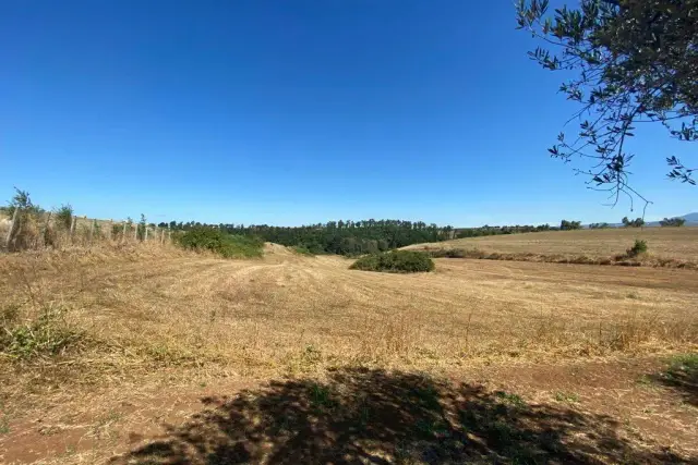 Terreno agricolo in Via Vallelata, Aprilia - Foto 1