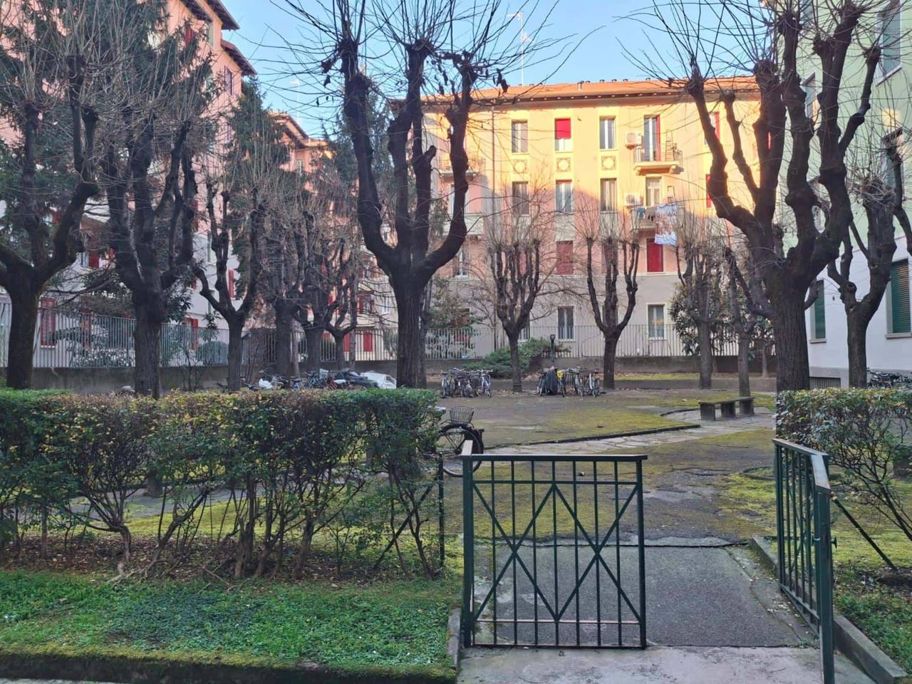 immagine annuncio 1 di 10