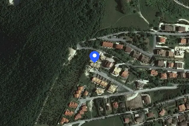 insertion image