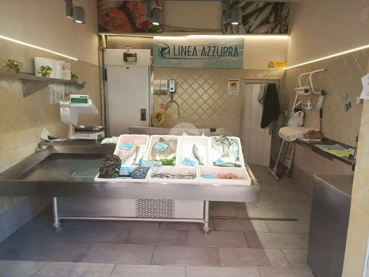Negozio in Via Isonzo, Genova, {3} - Foto 1
