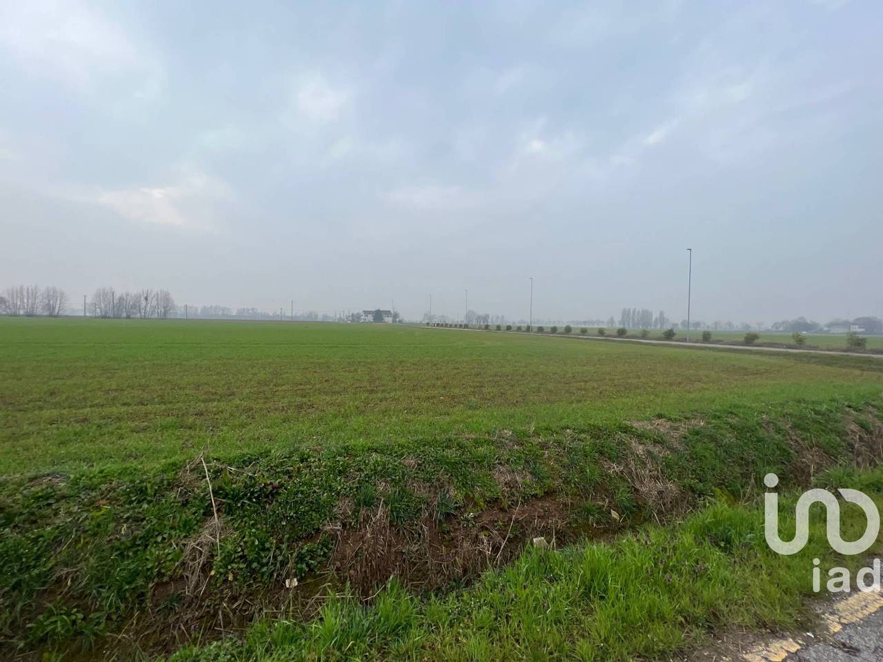 immagine annuncio 6 di 7