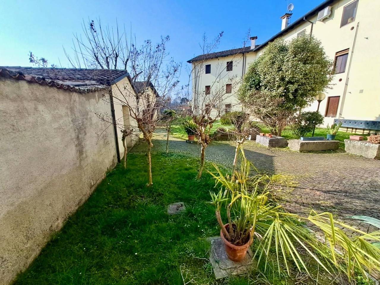 immagine annuncio 11 di 15