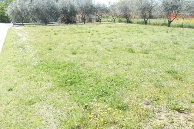 Terreno edificabile, Santarcangelo di Romagna - Foto 1