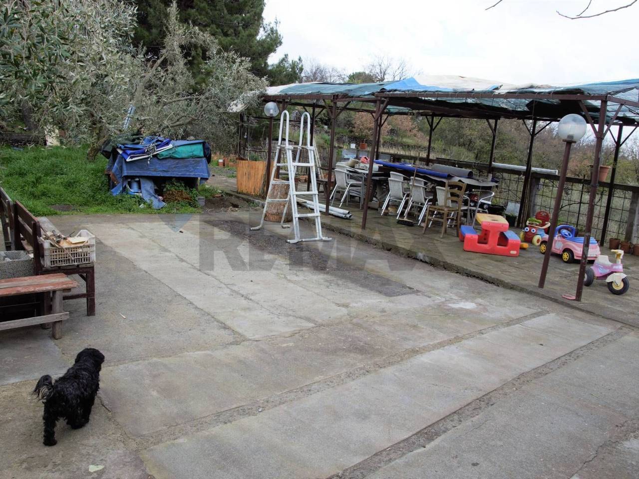 immagine annuncio 4 di 15