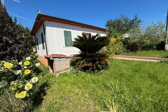 insertion image