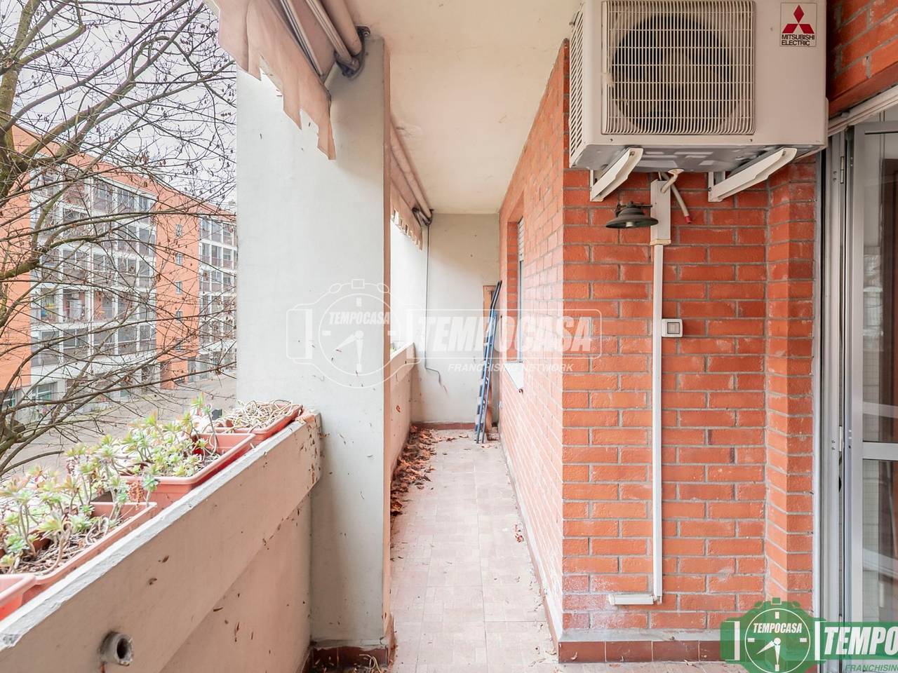 immagine annuncio 2 di 12