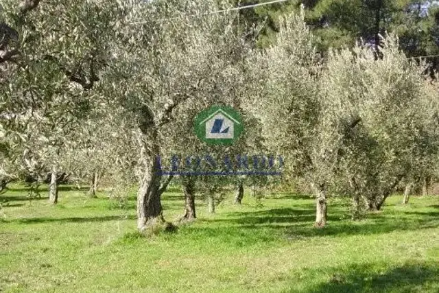 Terreno edificabile residenziale, Massa e Cozzile - Foto 1