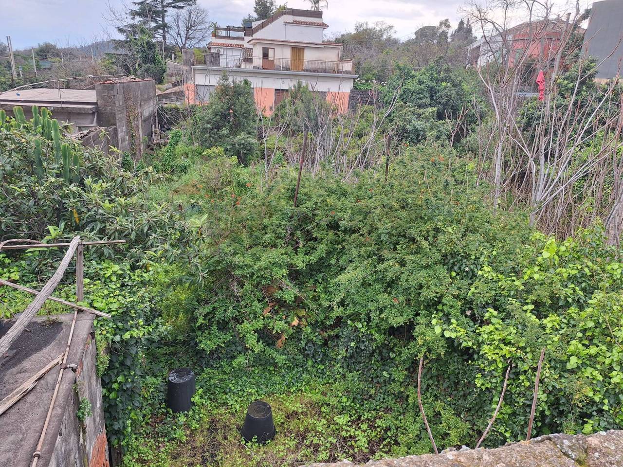 immagine annuncio 9 di 13