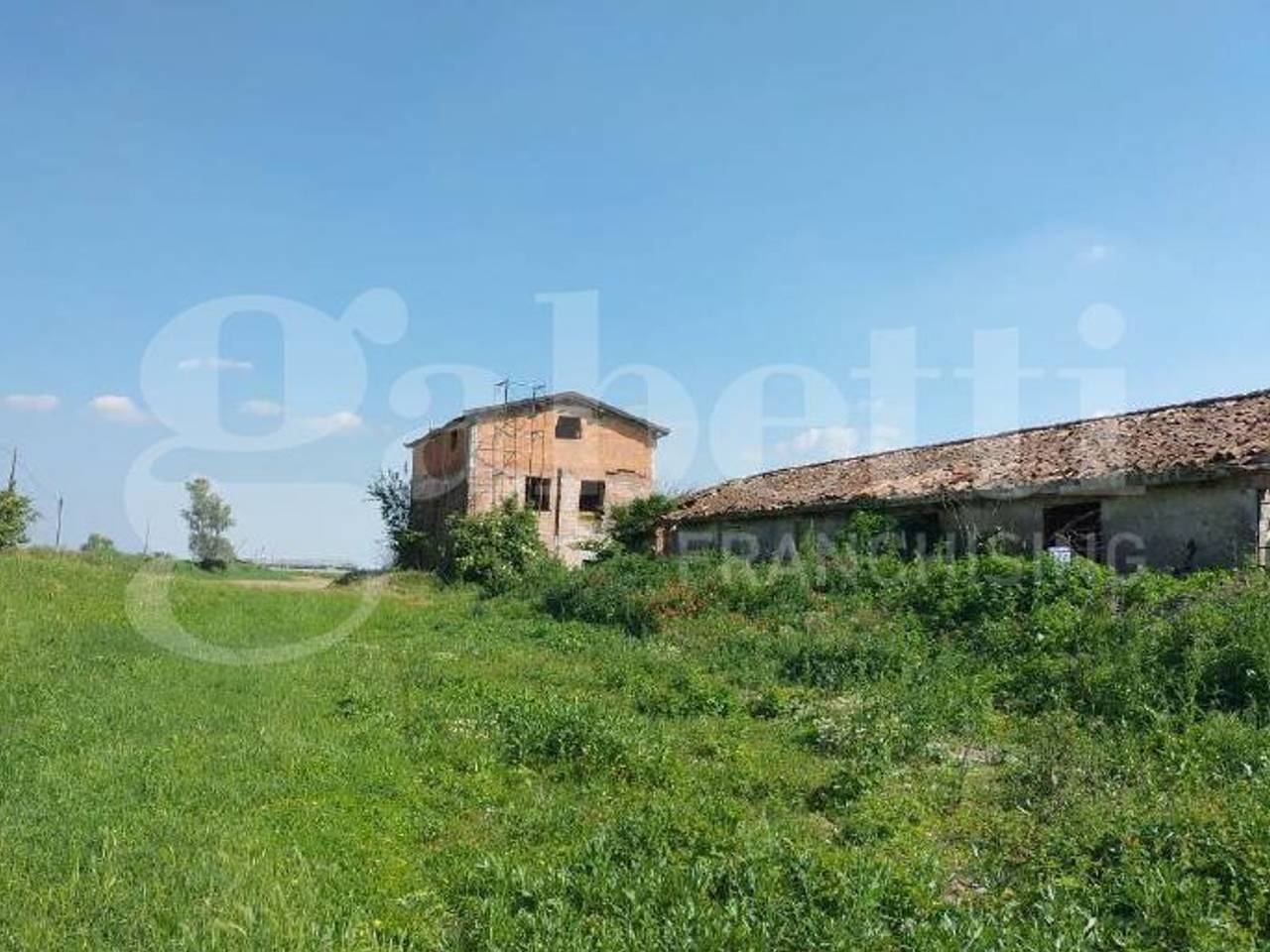 immagine annuncio 12 di 13