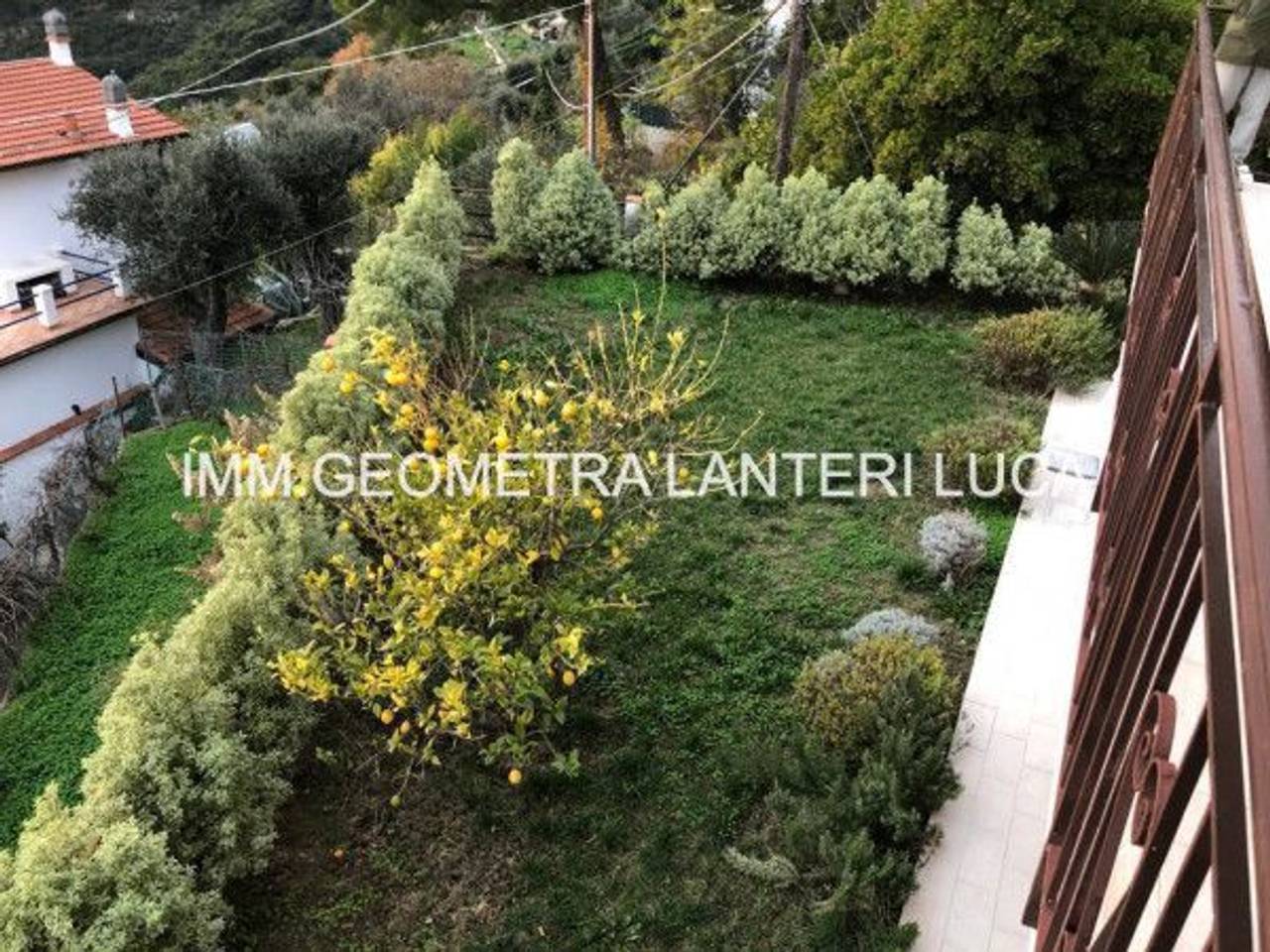 immagine annuncio 6 di 14