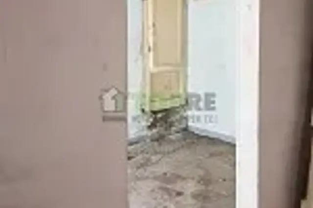 insertion image
