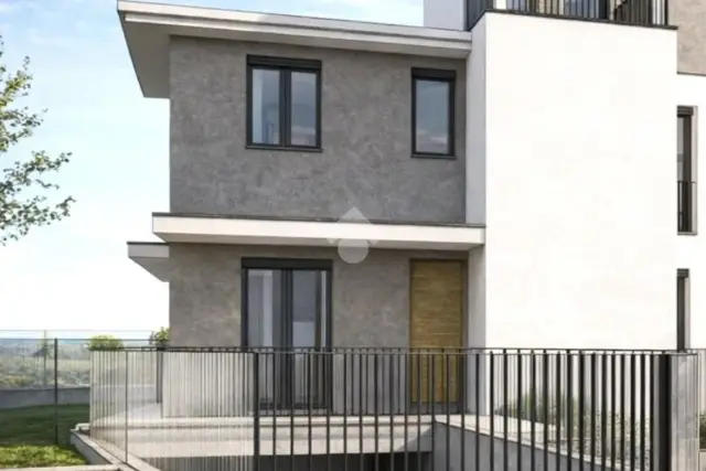 insertion image