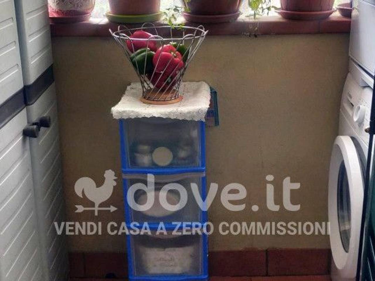 immagine annuncio 4 di 9