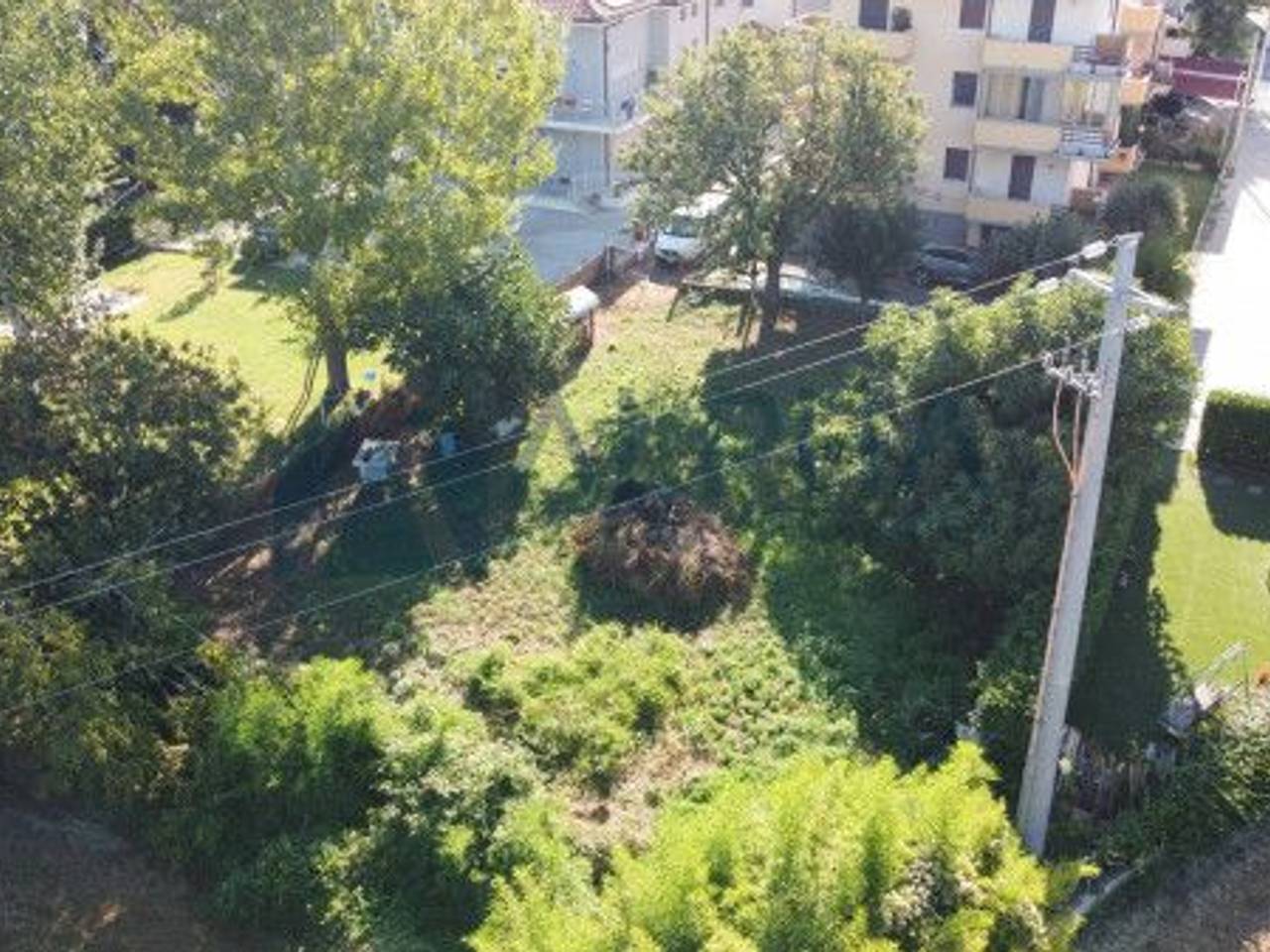 immagine annuncio 5 di 6