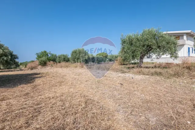 insertion image