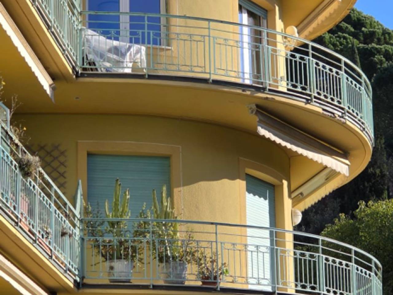 immagine annuncio 12 di 13