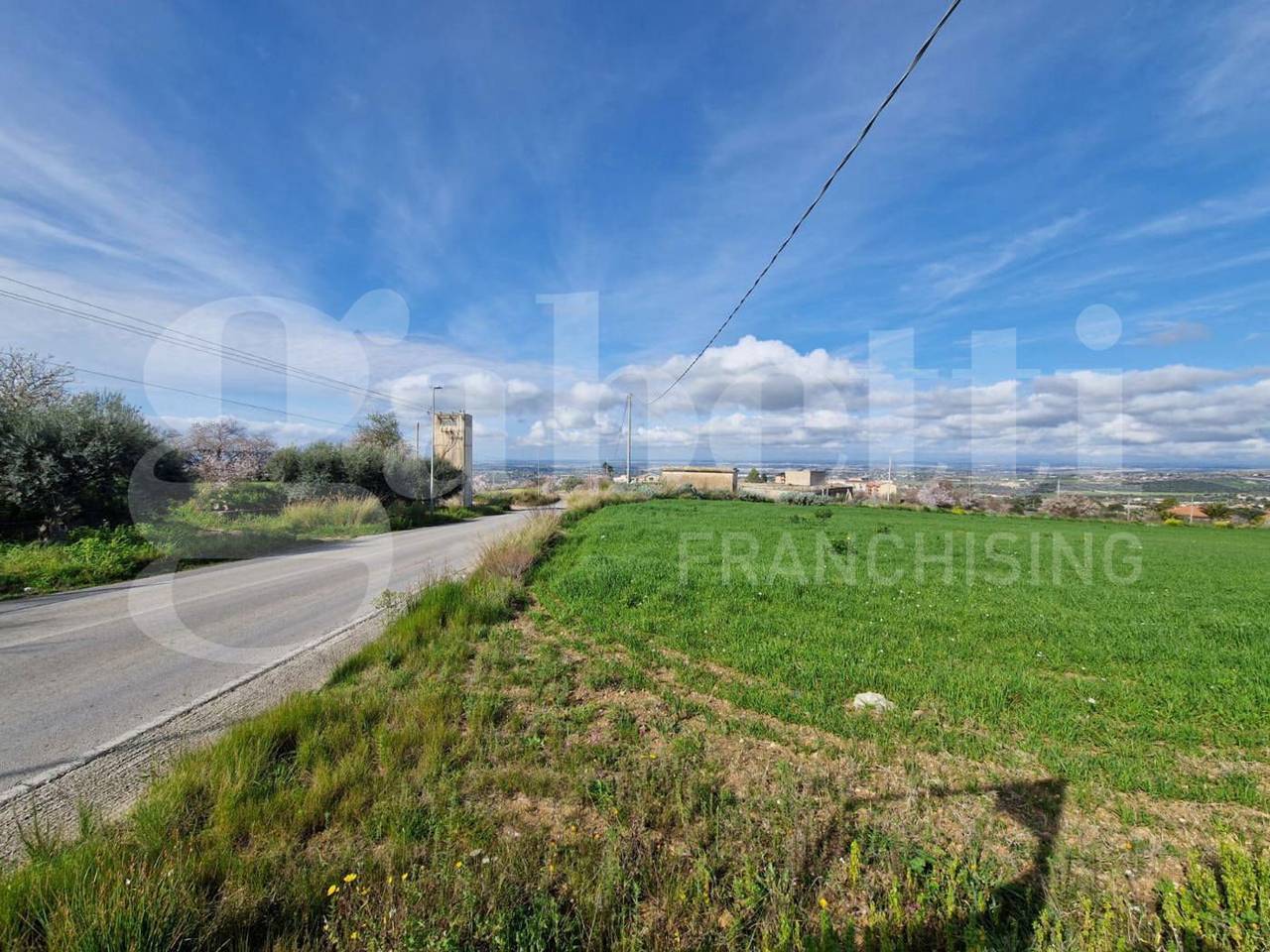 immagine annuncio 3 di 11