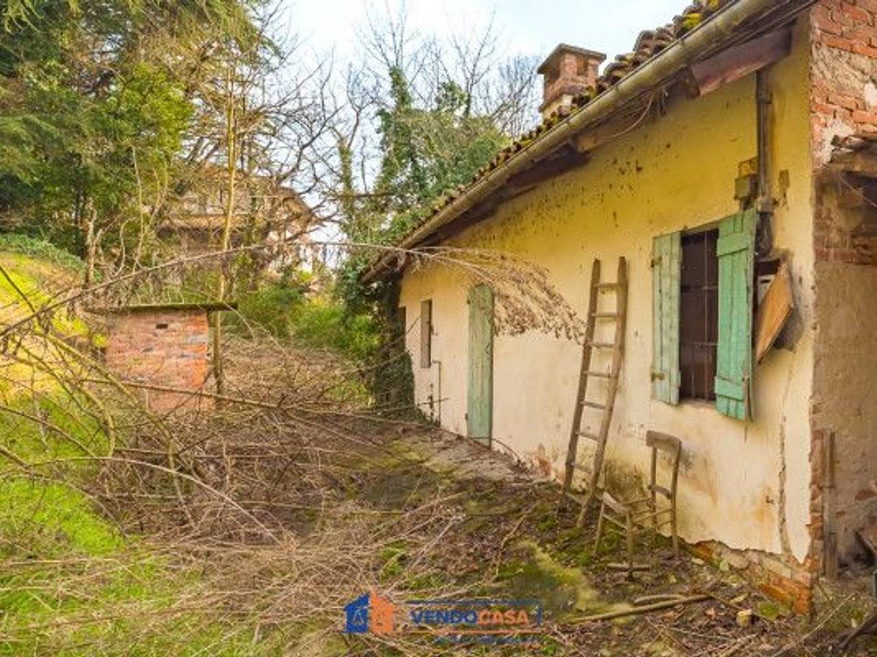 immagine annuncio 5 di 15