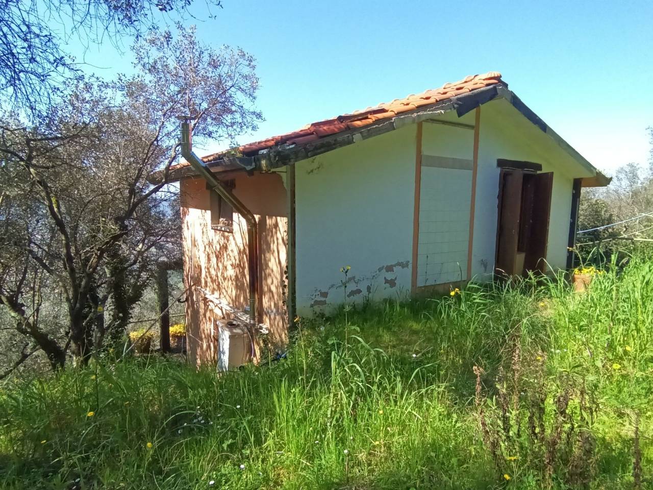 immagine annuncio 14 di 15